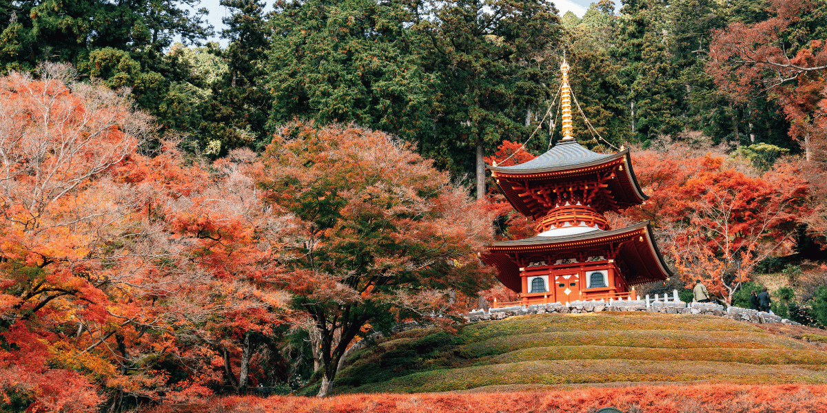 Katsuoji Temple Image